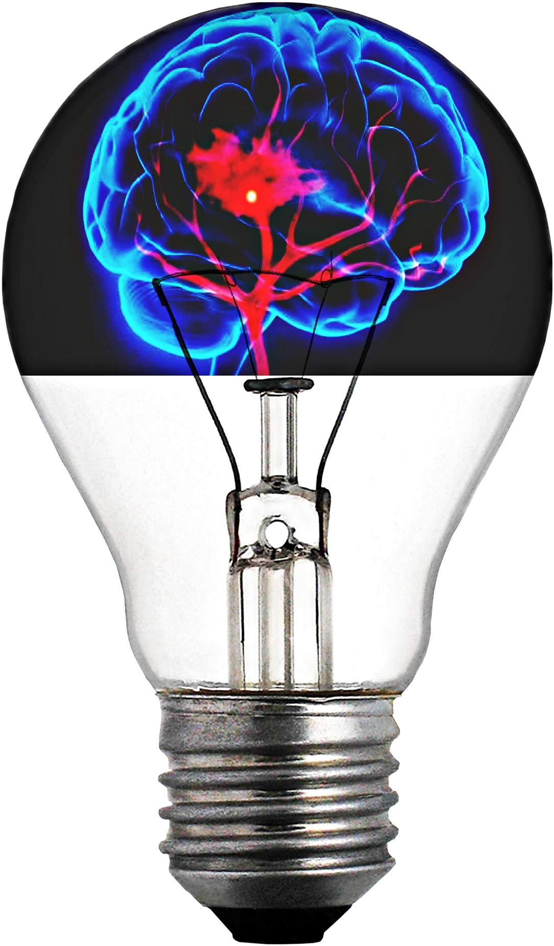 Com/en/light Bulb Brain - Normal Bulb (1440x1920), Png Download