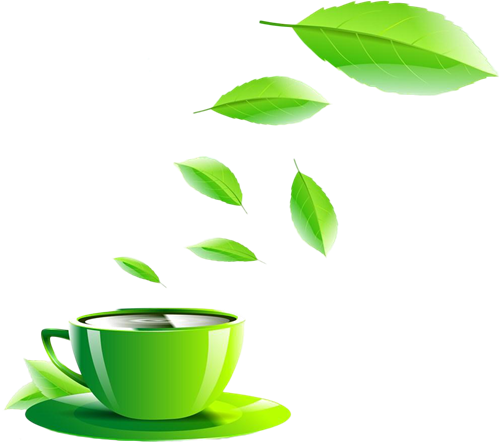 Shop Now - Green Cup Clipart Png (500x442), Png Download