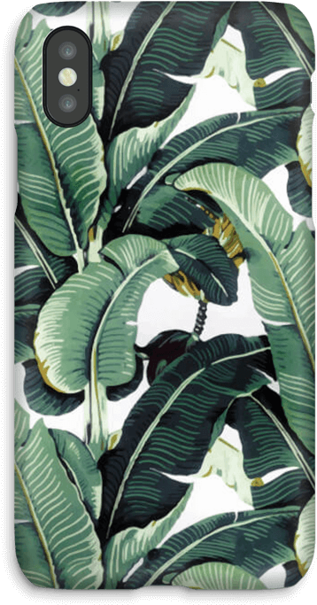 Leaf Phone Case - Beverly Hills Hotel Palm Tree (499x800), Png Download