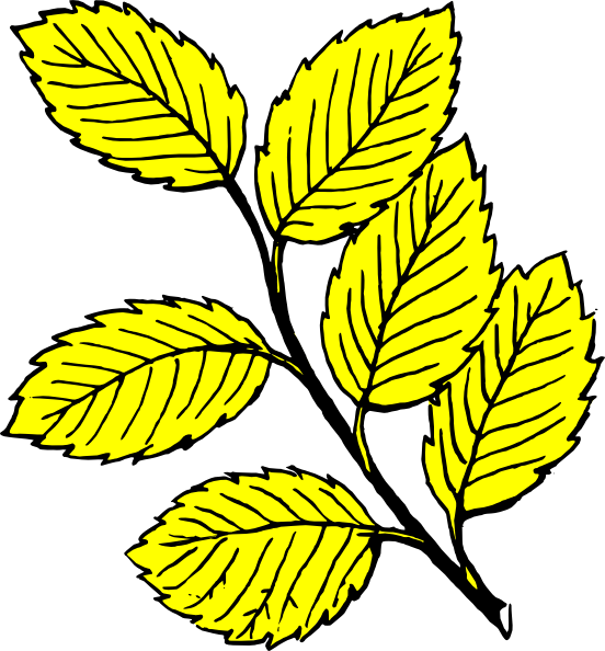 Leaves Light Clip Art At Clker - Leaves Drawing With Color (552x594), Png Download