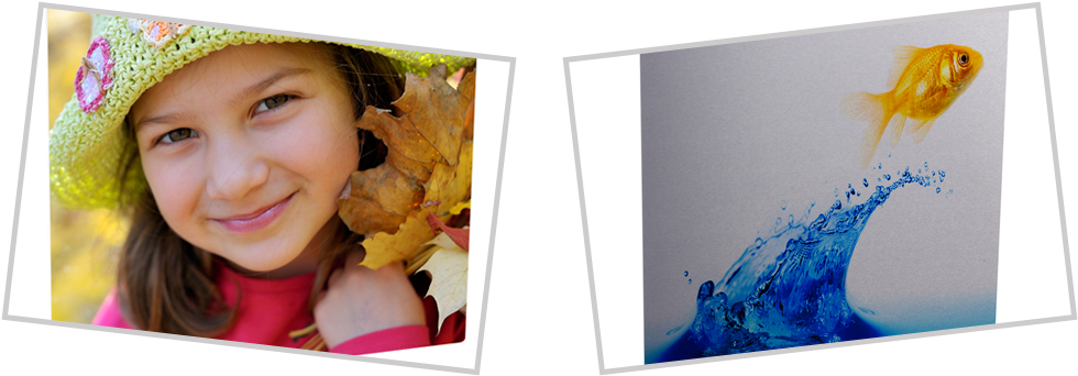 Welcome To Creative Avenues - Goldfish Splash Shower Curtain (1030x488), Png Download