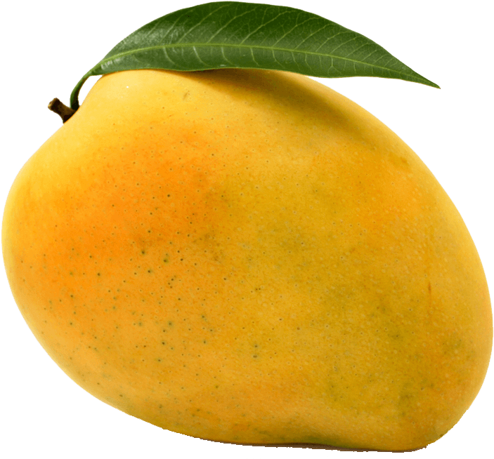 Mango - Mango Banganapalli (740x738), Png Download