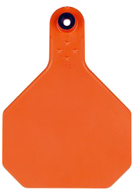 Ytex Blank 2 Piece Tag - Masonry Tool (700x700), Png Download