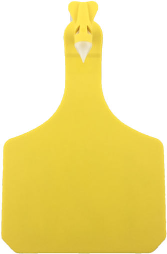 Y Tex Y Tag Large Cow Blank 1 Pc Ear Tags - Sign (592x600), Png Download