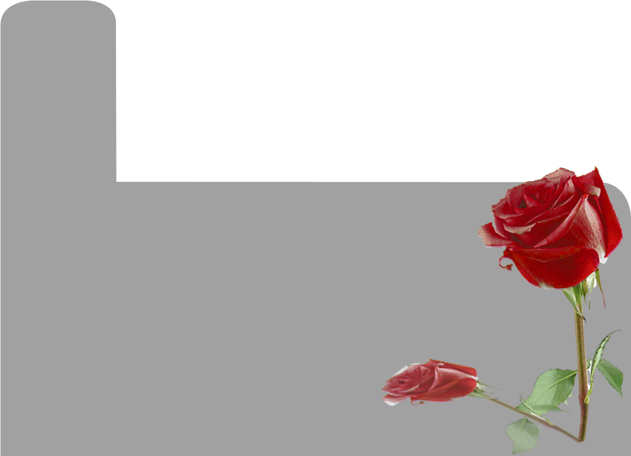 Crimson Is Our Premier Rose Paper That Is Available - Product (1348x1001), Png Download