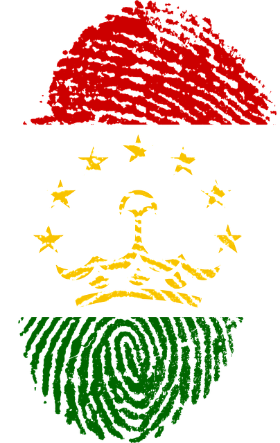 Tajikistan-654265 6401 - Data Privacy Act Of 2012 (404x640), Png Download