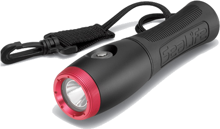 Led Torch/light - Sealife - Sea Dragon Mini 650 Flood Dive Light (465x294), Png Download