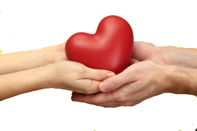 Heartinhands-638x425 - Heart (638x425), Png Download