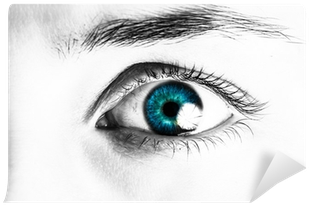 Close-up Portrait Of A Beautiful Female Eye Wall Mural - Close-up (400x400), Png Download