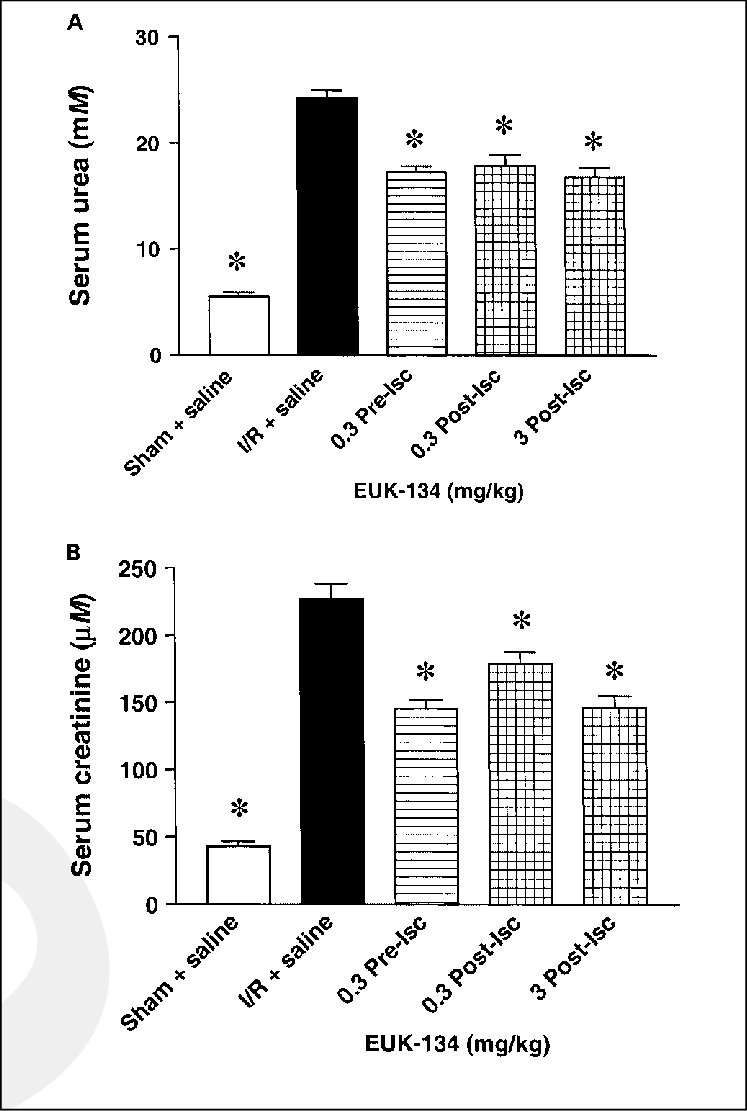 Effect Of Euk-134 On Tubular Injury Caused By Renal - Diagram (747x1111), Png Download