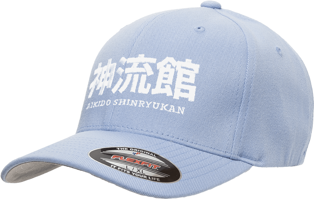 Flexfit-babyblue - Baby Blue Cap (1100x770), Png Download