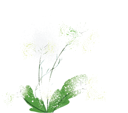 A Thing Of Beauty - Fireworks (710x538), Png Download