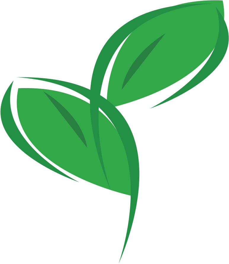 Eco Logo Leaves - Eco Friendly (800x939), Png Download