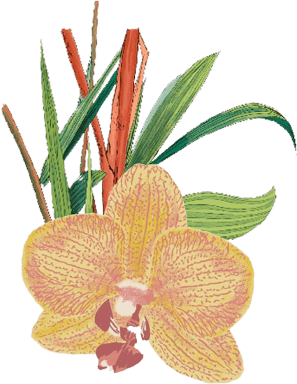 Resort 19 At Verandah Is Quite Simply My Humble Attempt - Asian Court (436x567), Png Download