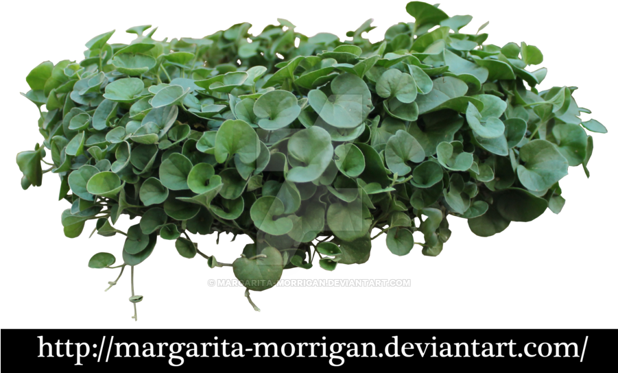 9 Image, P > - Green Balcony Plants Png (900x563), Png Download