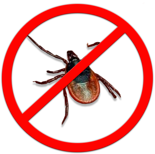 Против Тараканов (500x497), Png Download