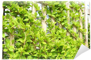 Fence (400x400), Png Download