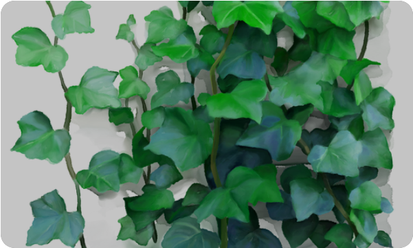 Vines, Climbing Plant Doormat - Vine (500x500), Png Download