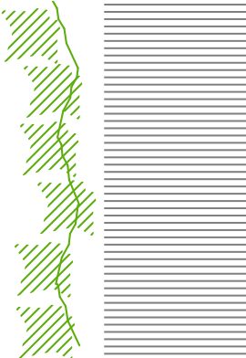 Plants Holding Onto Trees In The Jungle Or Climbing - Climber Green Facade Structure (400x400), Png Download