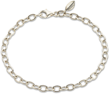 Silver Fine Link Bracelet - Solid Gold Ball Chain Bracelet (540x540), Png Download