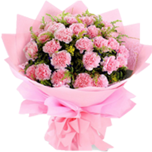 Pink Carnation Roses Flower Bouquet Delivery Candy - Carnation Bouquet (500x500), Png Download
