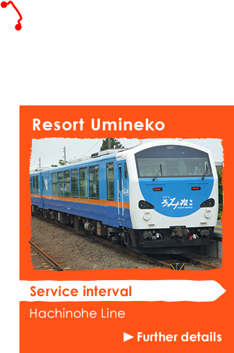 Page Top - Black-tailed Gull (640x692), Png Download