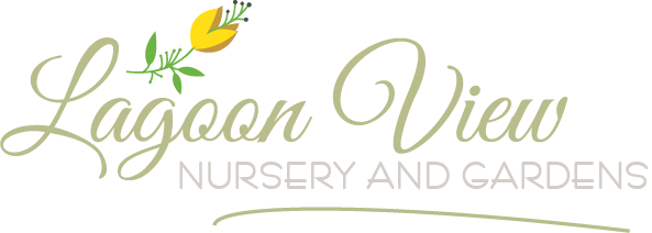 Take A Stroll, See How The Plants Grow, And Experience (593x212), Png Download