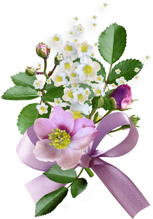 Flower (561x800), Png Download