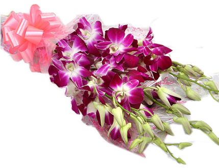 Exotic Orchids Bunch - Sushma Florist (428x428), Png Download