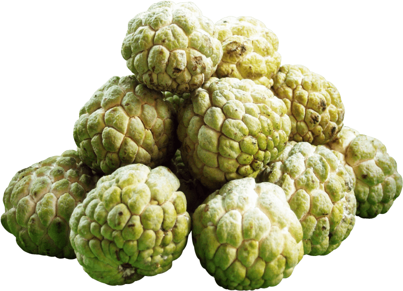 Custard Apple Png Transparent Image - Custard Apple Fruit Png (500x365), Png Download