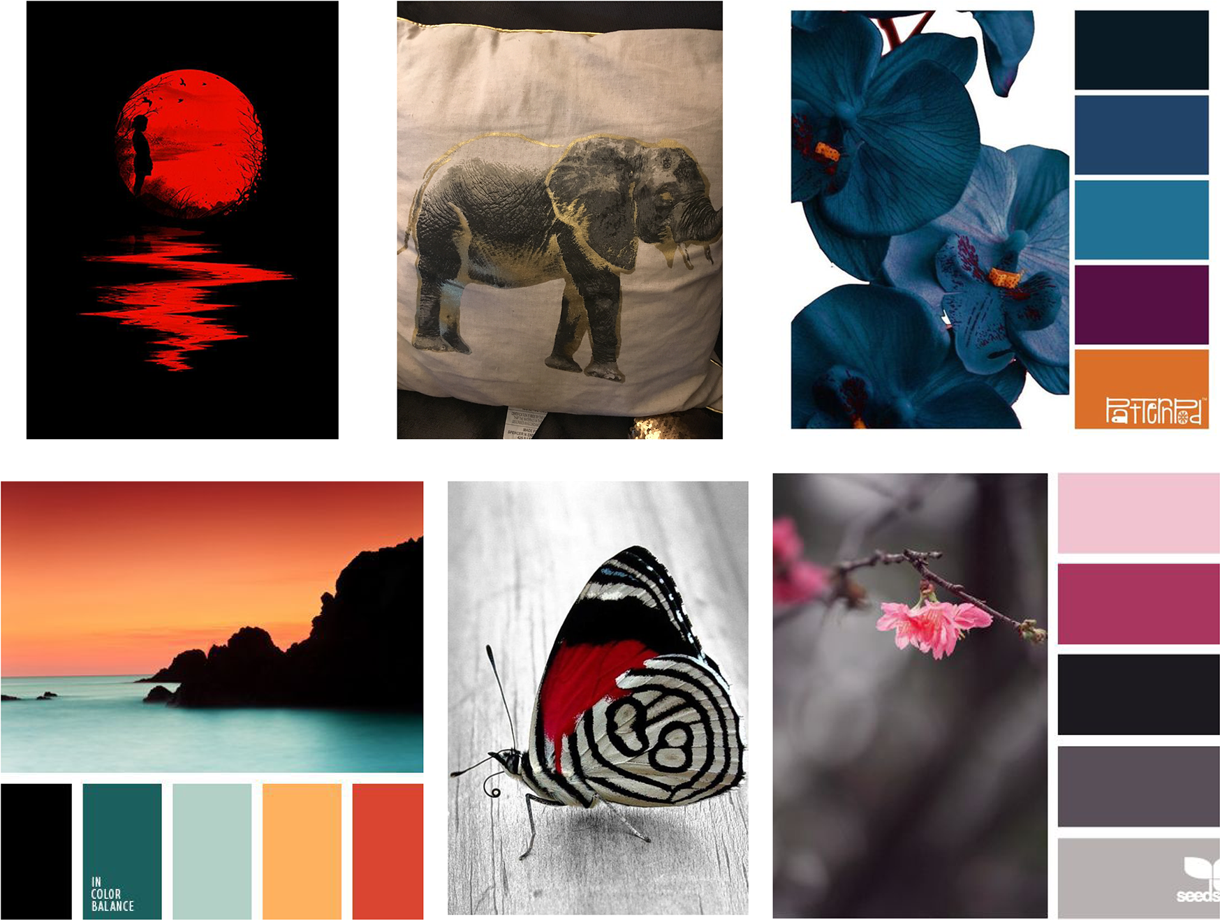 Color Mood Board - Indian Elephant (1920x1484), Png Download