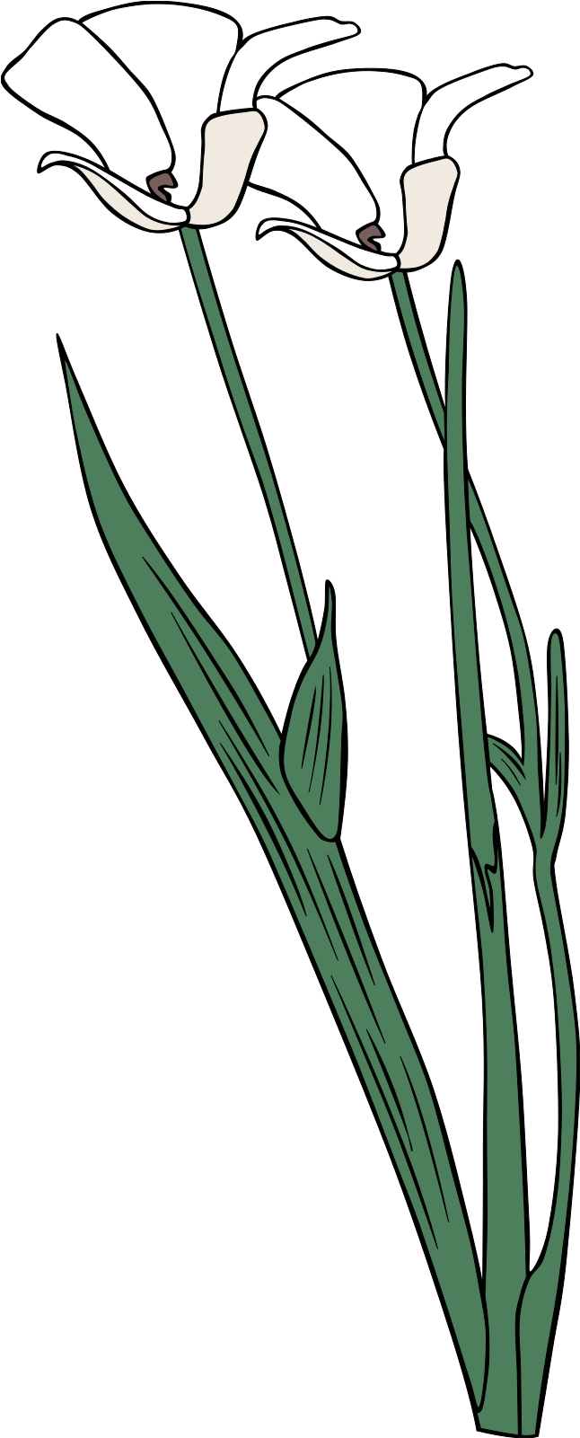 Plant Shrub Flowers Outline Svg Clip Arts 240 X 595 (240x595), Png Download