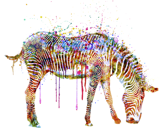 Bleed Area May Not Be Visible - Watercolor Zebra (600x600), Png Download