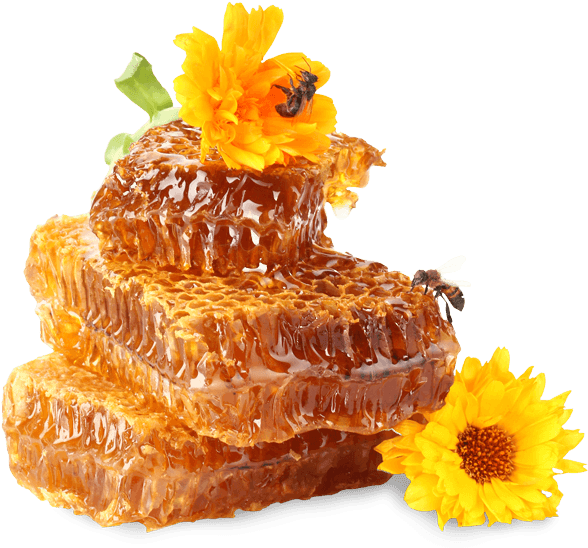 Naturally Pure Honey Straight - Honey And Bee Png (600x574), Png Download