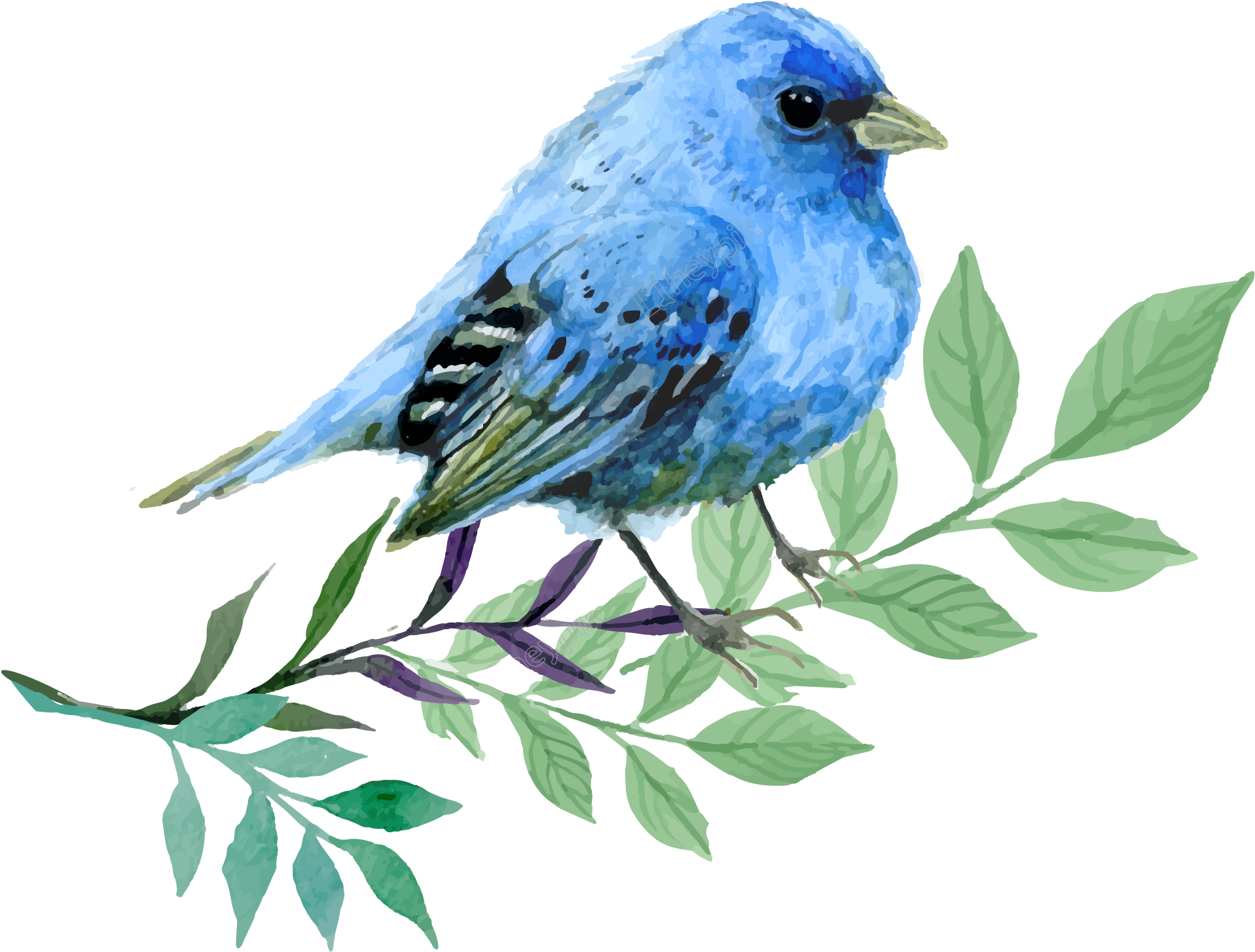 Image Library Stock Hand Painted Cartoon Watercolor - Bird (2164x1679), Png Download