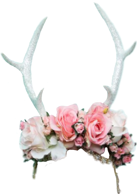Report Abuse - Flower Crown Antlers (447x634), Png Download