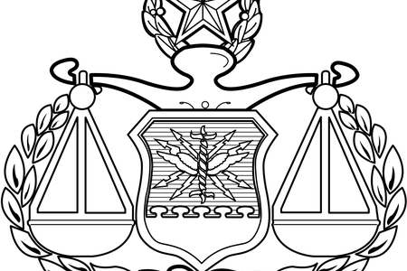 Clip Lord Easy For Kids K Pictures Full - United States Air Force Judge Advocate General's Corps (450x300), Png Download