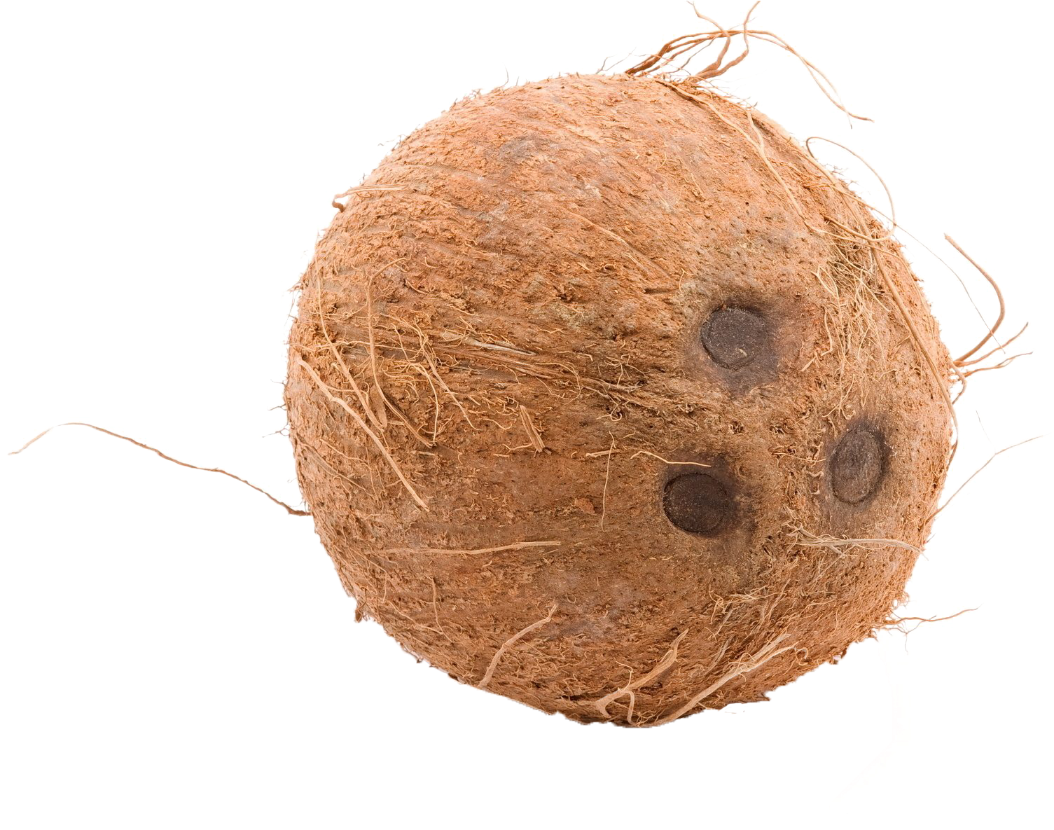 Brown Cocunut Png Image (1920x1200), Png Download