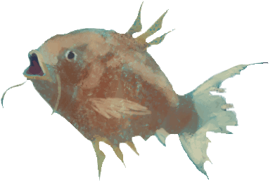 Magikarp Realistico - Magikarp (402x317), Png Download