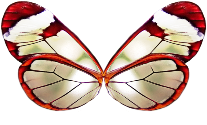 Png Wing 3 By Moonglowlilly - Red Butterfly Wings Png (900x562), Png Download