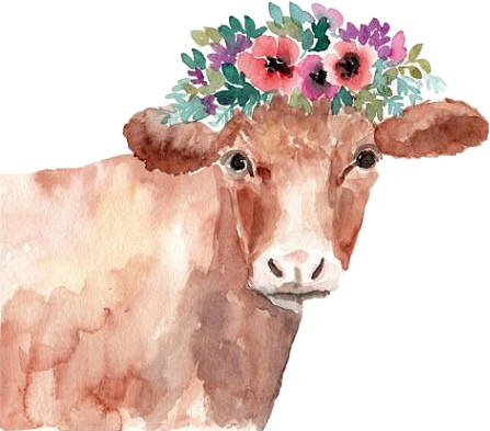 Cow Png (447x393), Png Download