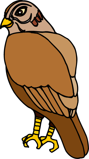 Jpg Freeuse Red Tailed Hawk Clipart - Hawk Clipart (354x633), Png Download