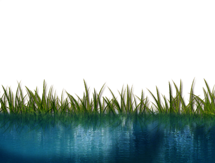 Free Icons Png - Clipart Riverside Reed (900x684), Png Download