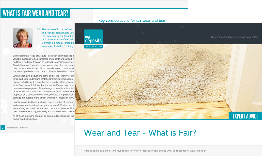 Wear And Tear - Plywood (1200x800), Png Download