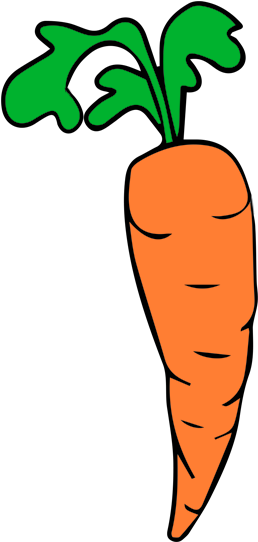 Carrots13 - Carrot Clipart (300x594), Png Download