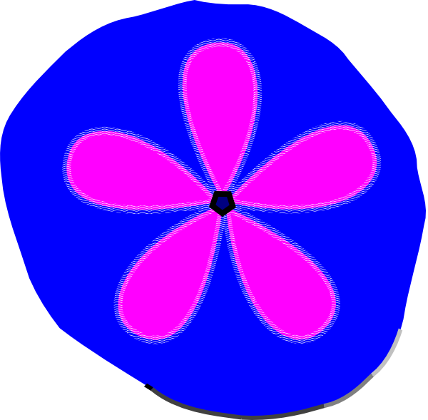 Sand Dollar Svg Clip Arts 600 X 589 Px (600x589), Png Download