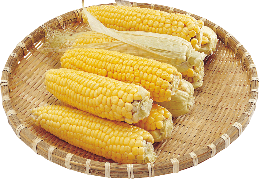 Free Png Corn Png Images Transparent - Sweet Corn Png (850x588), Png Download