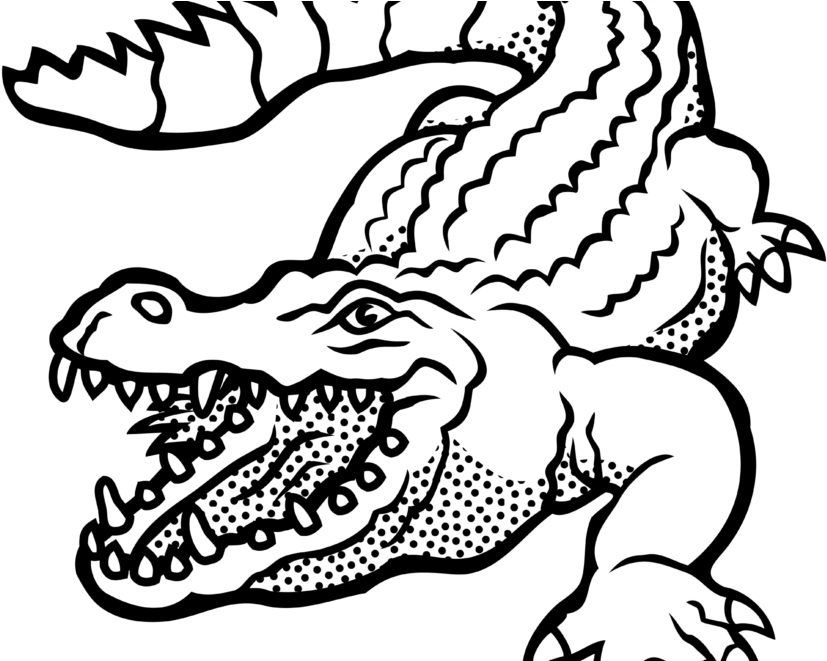 Alligator Clipart Black And White - Crocodile Clipart Black And White (880x660), Png Download