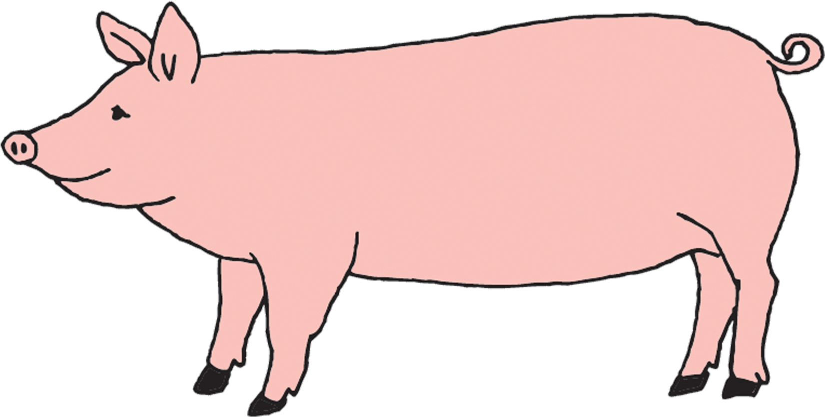 Pig - Tattly Temporary Tattoos / Farm Animal Set (2048x2048), Png Download
