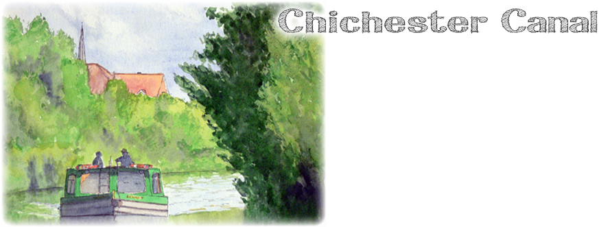 Thuya (960x330), Png Download